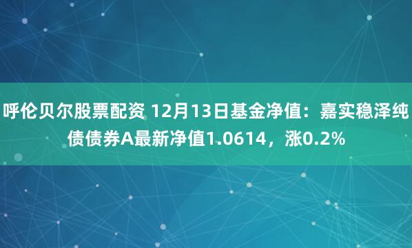 呼伦贝尔股票配资 12月13日基金净值：嘉实稳泽纯债债券A最新净值1.0614，涨0.2%