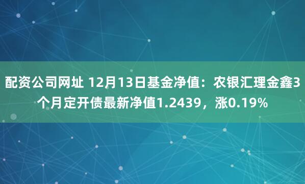 配资公司网址 12月13日基金净值：农银汇理金鑫3个月定开债最新净值1.2439，涨0.19%