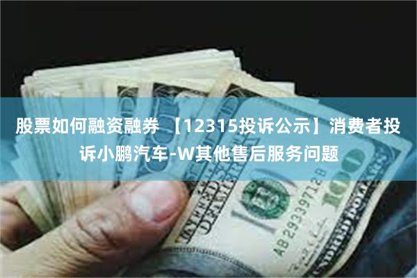 股票如何融资融券 【12315投诉公示】消费者投诉小鹏汽车-W其他售后服务问题