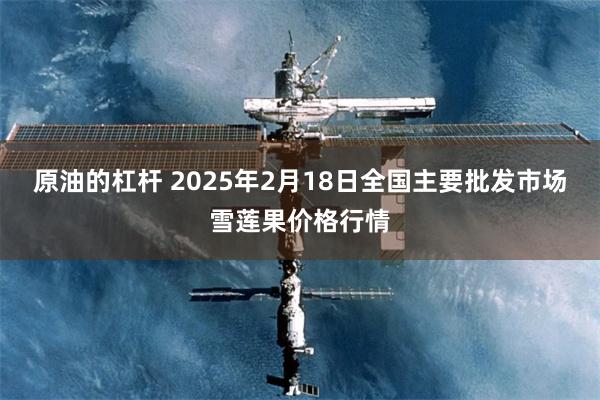 原油的杠杆 2025年2月18日全国主要批发市场雪莲果价格行情