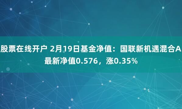 股票在线开户 2月19日基金净值：国联新机遇混合A最新净值0.576，涨0.35%