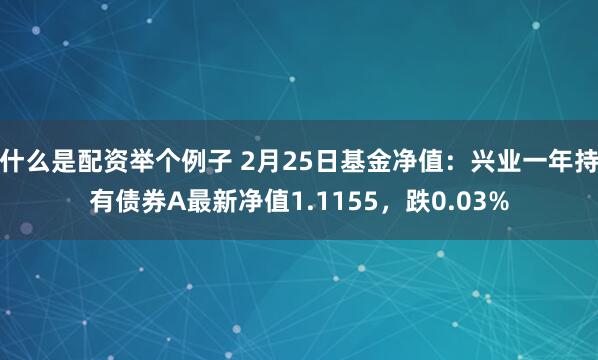 什么是配资举个例子 2月25日基金净值：兴业一年持有债券A最新净值1.1155，跌0.03%