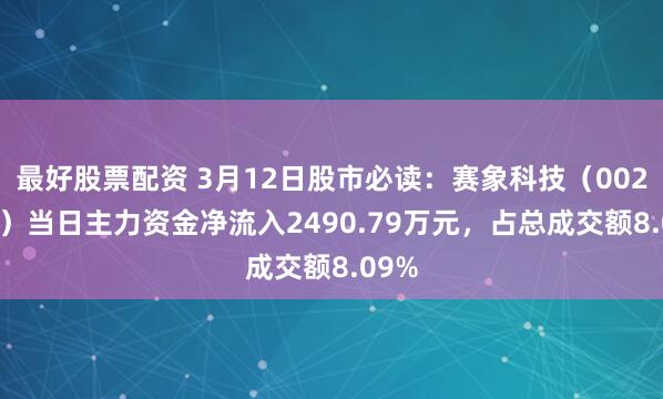 最好股票配资 3月12日股市必读：赛象科技（002337）当日主力资金净流入2490.79万元，占总成交额8.09%