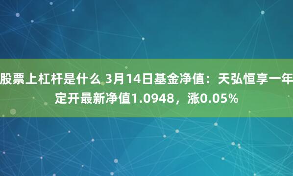 股票上杠杆是什么 3月14日基金净值：天弘恒享一年定开最新净值1.0948，涨0.05%