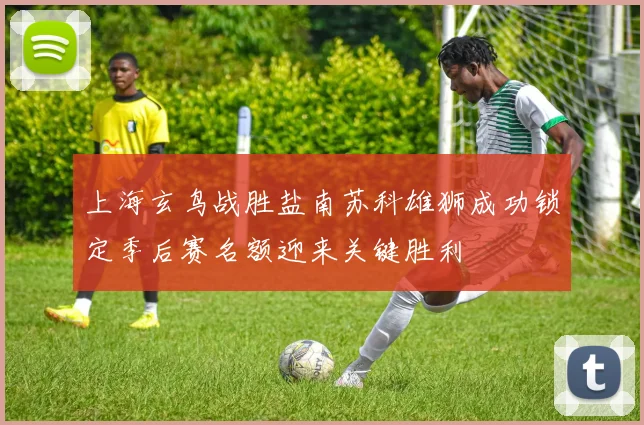 上海玄鸟战胜盐南苏科雄狮成功锁定季后赛名额迎来关键胜利