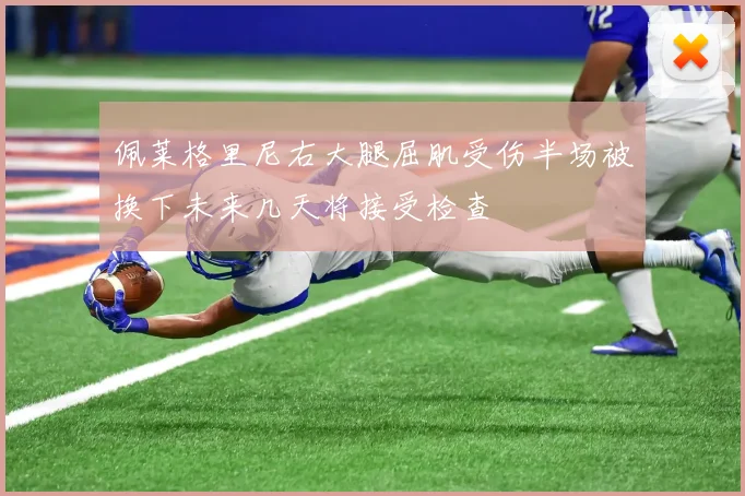 佩莱格里尼右大腿屈肌受伤半场被换下未来几天将接受检查