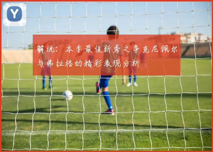 解说:本季最佳新秀之争克尼佩尔与弗拉格的精彩表现分析