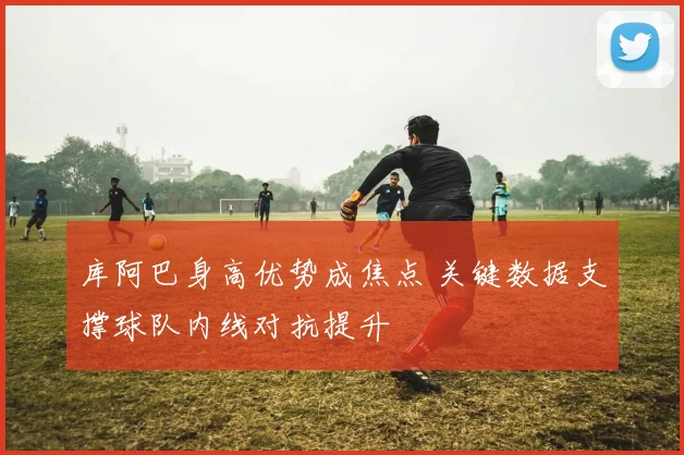 库阿巴身高优势成焦点 关键数据支撑球队内线对抗提升